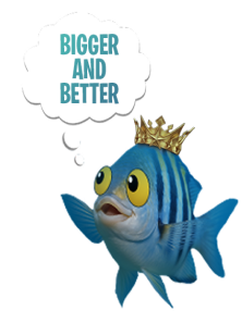 BIGGER AND BETTER