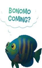 BONOMO COMING?